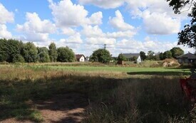 IMG_9110
