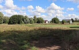 IMG_9085