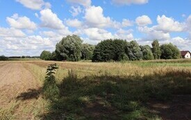 IMG_9084