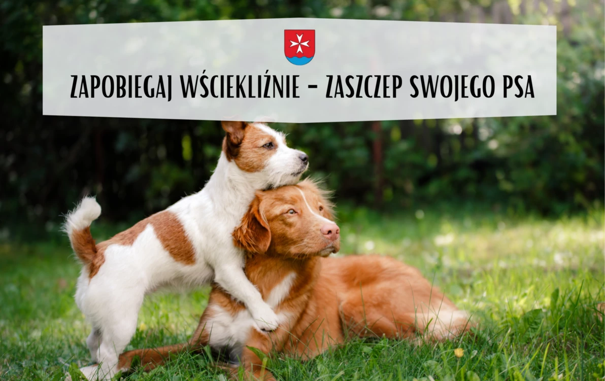 WŚCIEKLIZNA - ŚMIERTELNE ZAGROŻENIE DLA LUDZI I ZWIERZĄT - obowiązkowe szczepienia psów przeciwko wściekliźnie